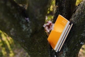 退保怎樣退?怎樣才能退全款?