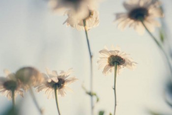 保險經(jīng)紀人與保險代理人的區(qū)別