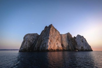 華夏富貴竹退保