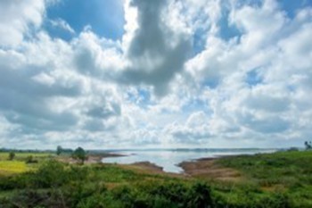 平安福終身壽險退保能退多少錢
