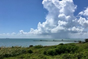 太平保險退保多久可以到賬