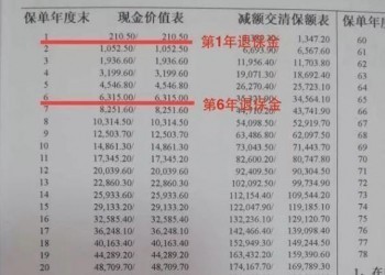 保險公司退保能退多少