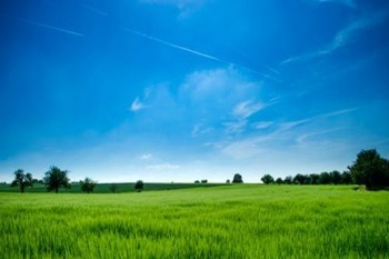 養(yǎng)老保險(xiǎn)交多少年最劃算