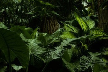 5000人壽保險退保能退多少