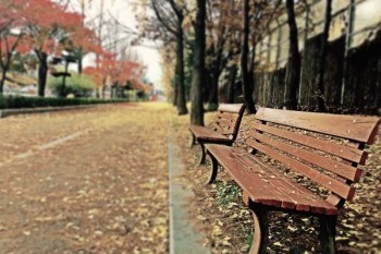 中國人壽康寧終身保險(xiǎn)20年后給退款嗎