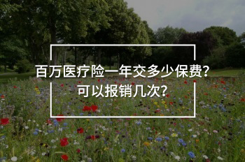 百萬醫(yī)療險一年交多少保費