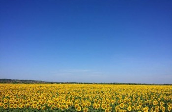 太平洋醫(yī)享無憂百萬醫(yī)療險
