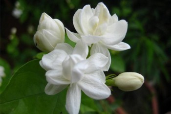 淄博齊惠保怎么理賠