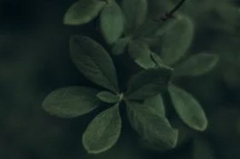 一百萬利息一年多少錢