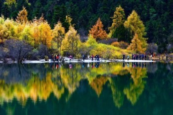 新華保險(xiǎn)多倍保障重大疾病保險(xiǎn)