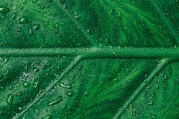 星火保百萬醫(yī)療險(xiǎn)