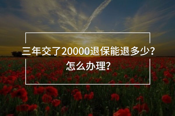三年交了20000退保能退多少
