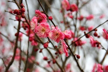 醫(yī)療保險(xiǎn)最低要交多少年