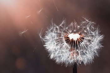 郵政存錢被忽悠買了保險可以退嗎