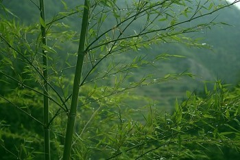 泰康的百萬醫(yī)療險怎么樣？跟同類產(chǎn)品對比如何？?