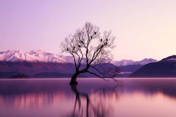 國壽如e康悅百萬醫(yī)療保險(xiǎn)A款怎么樣？在哪里可以買？