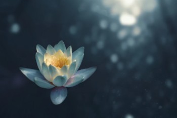 人壽買了三年能退多少？可以退嗎？