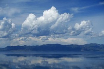 百年人壽網(wǎng)上退保流程