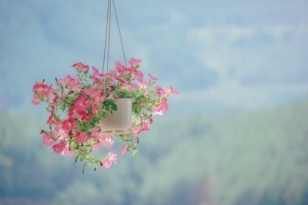 保險(xiǎn)退?？梢酝巳? width=