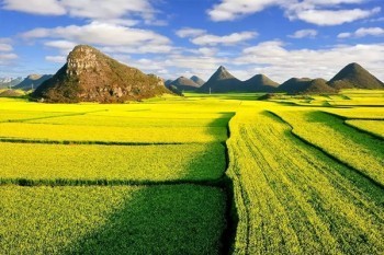 猶豫期后退保怎么扣費(fèi)？對以后買保險(xiǎn)有影響嗎？