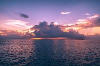 未生效的保單可以退嗎？可以全額退嗎？