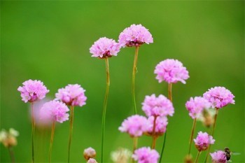 華貴愛(ài)終身壽險(xiǎn)存三年退保