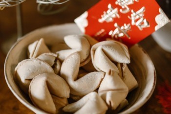 農(nóng)村社會(huì)養(yǎng)老保險(xiǎn)