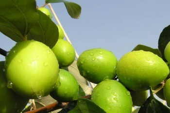 大病醫(yī)療保險(xiǎn)哪個(gè)保險(xiǎn)公司好
