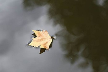 高空作業(yè)保險(xiǎn)怎么買(mǎi)