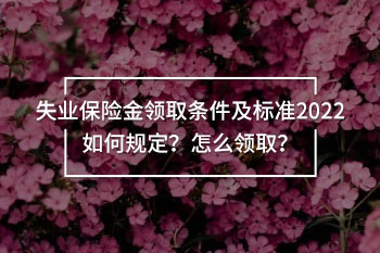 失業(yè)保險(xiǎn)金領(lǐng)取條件及標(biāo)準(zhǔn)2022