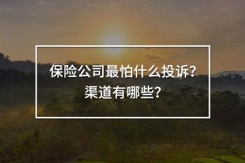 保險(xiǎn)公司最怕什么投訴