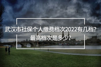 武漢市社保個(gè)人繳費(fèi)檔次2022