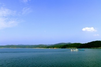 6000元陽(yáng)光保險(xiǎn)退保怎么退
