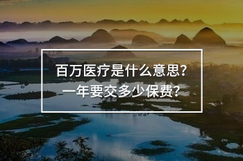 百萬醫(yī)療是什么意思