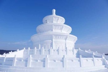 太平洋安行寶可以退嗎