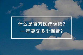 什么是百萬醫(yī)療保險