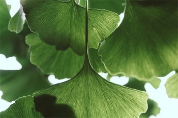 眾安百萬醫(yī)療保險怎么樣
