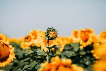 辦理新生兒保險(xiǎn)需要什么材料