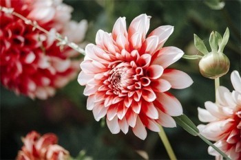 人保百萬醫(yī)療保險一年要交多少保費？怎么購買最劃算？