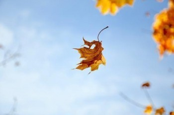 商業(yè)保險(xiǎn)買(mǎi)什么險(xiǎn)種最好多少錢(qián)