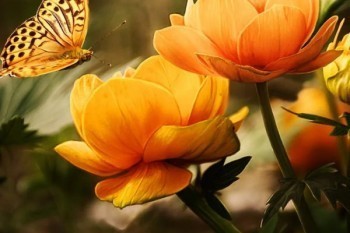 終身壽險(xiǎn)交滿退保