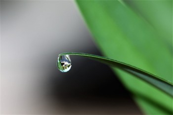 好醫(yī)保是百萬醫(yī)療險嗎