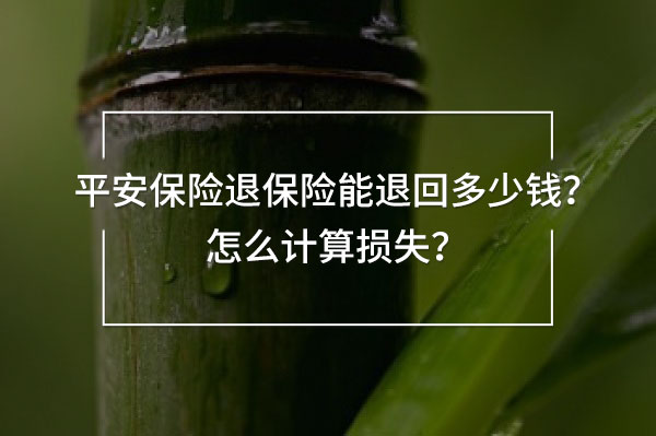 平安保險(xiǎn)<a href=
