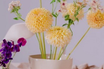 太平人壽保險(xiǎn)退保