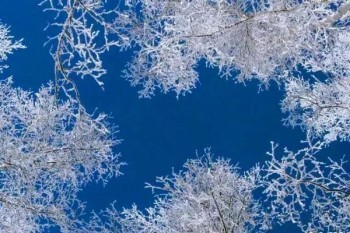 安邦保險(xiǎn)滿期退保流程是怎樣的？要不要退？?