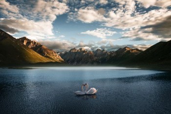 平安智能星17退保能退多少錢？退保流程是怎樣的？?