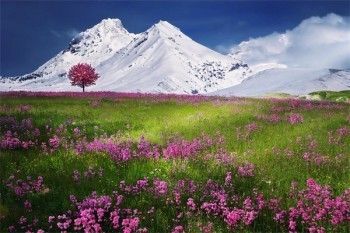 交了兩年的理財(cái)保險(xiǎn)能退多少錢