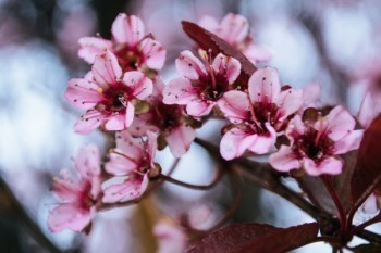 好醫(yī)保百萬(wàn)醫(yī)療和壽險(xiǎn)的區(qū)別