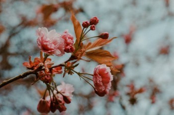 e家平安百萬醫(yī)療險(xiǎn)