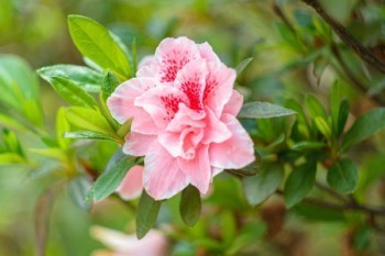 醫(yī)保和百萬醫(yī)療險的區(qū)別